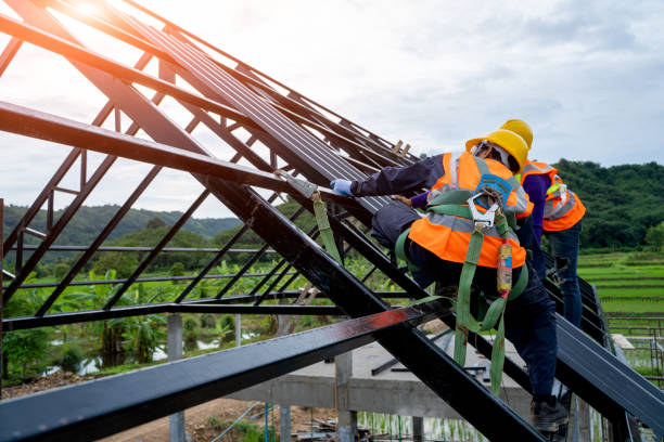 Best Metal Roofing Contractor  in Hastings, MN